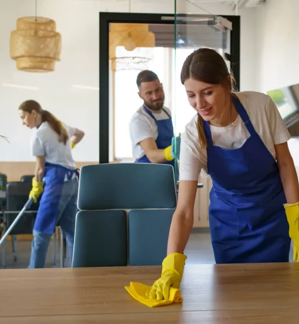 House cleaning services