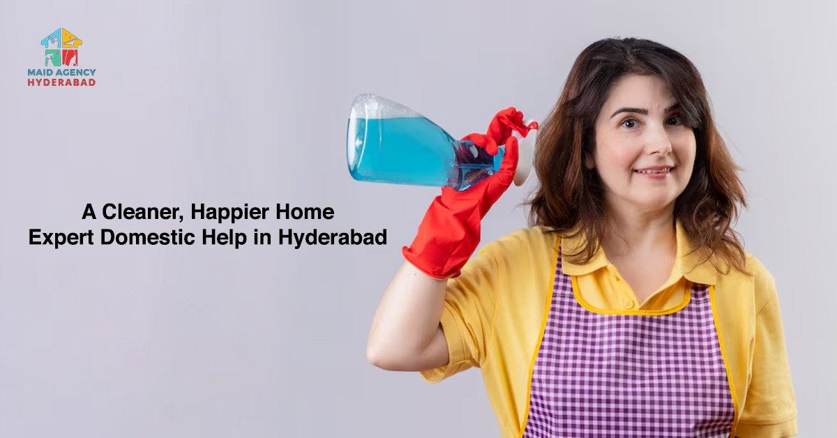 Expert domestic help